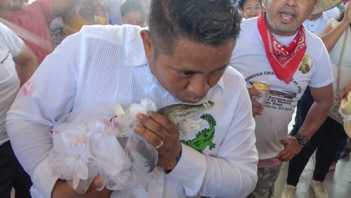 Insólito matrimonio entre un alcalde y un caimán