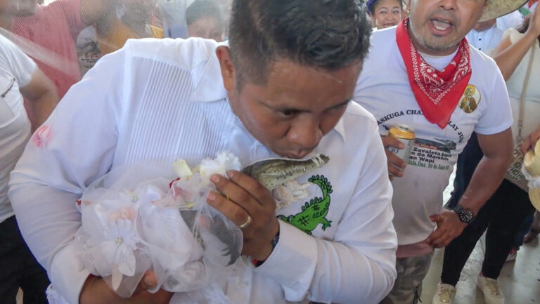 Insólito matrimonio entre un alcalde y un caimán