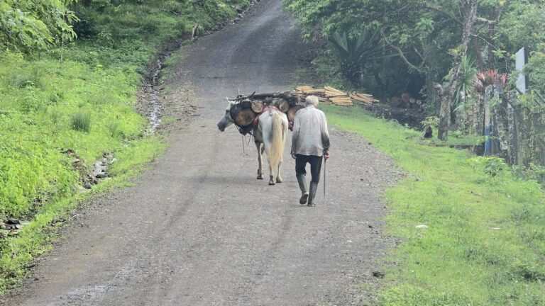 Rehabilitan 11 kilómetros de caminos productivos en La Libertad