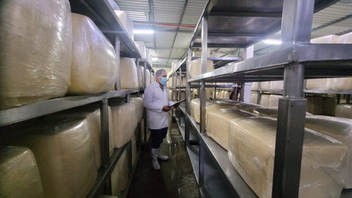 MAG reporta producción de 84.4 millones de libras de queso y cuajada