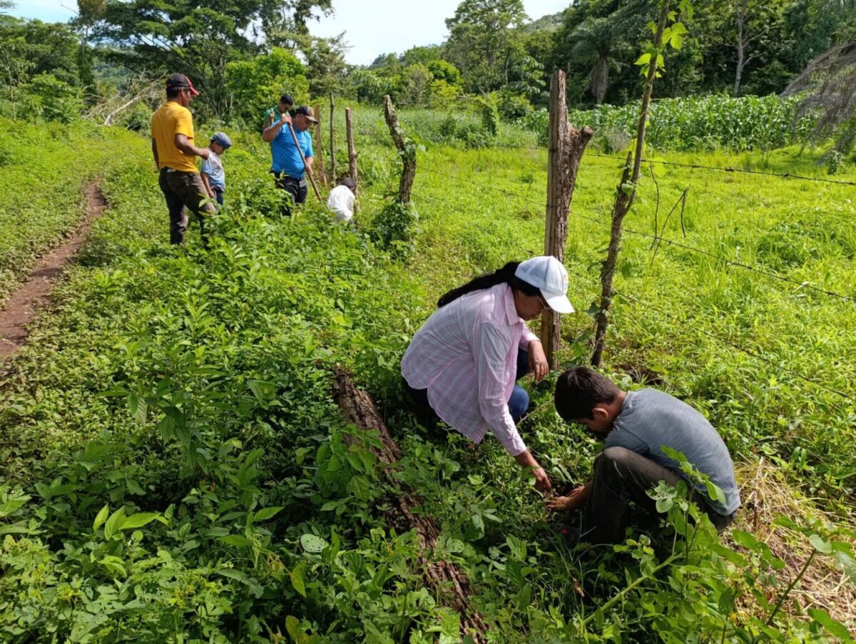 MARENA realiza jornada de reforestación en El Almendro