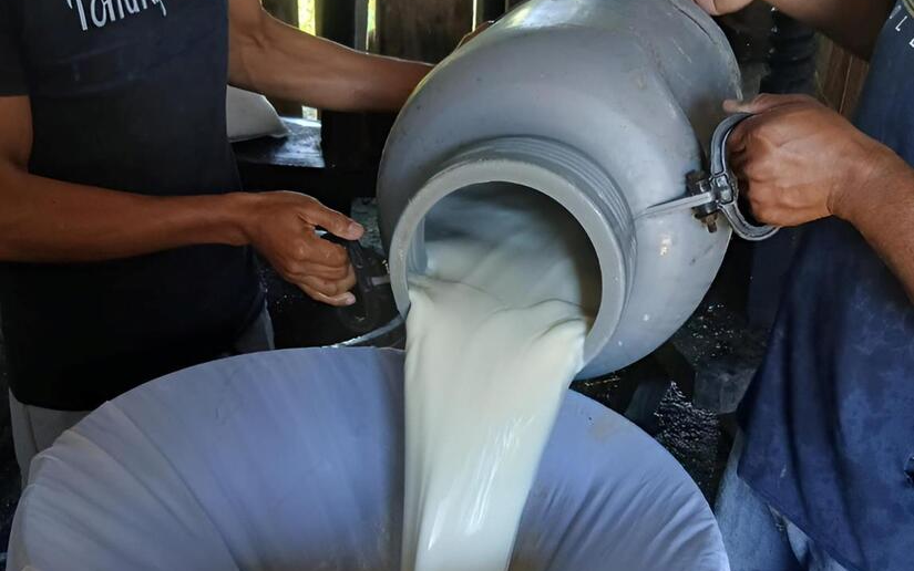 Acopio de leche a junio 2026