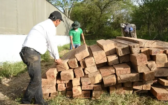 MARENA autoriza 1,085 permisos forestales en el primer semestre