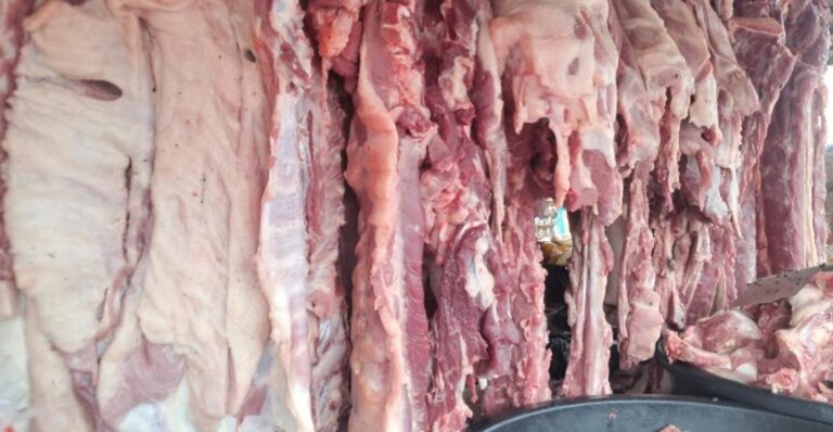 Nicaragua produce 14.8 millones de libras de cerdo