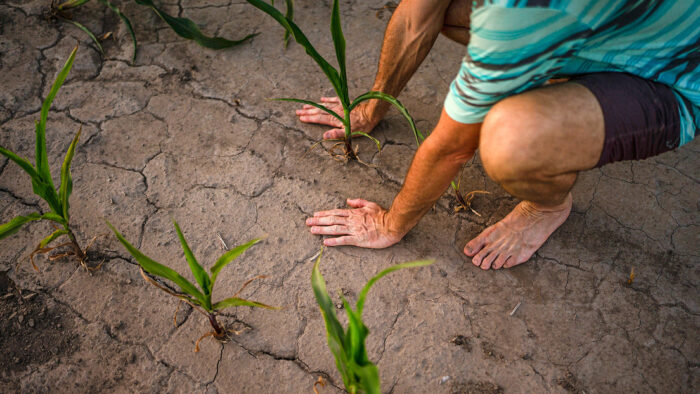 El Niño severo afectará entre octubre y diciembre a América Latina