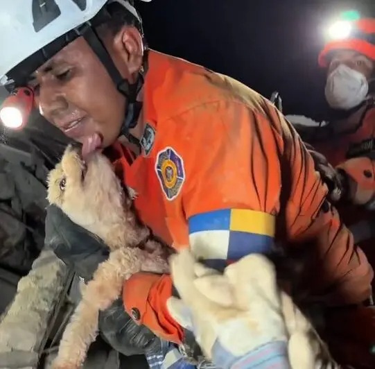 Rescatan a 449 mascotas tras los sismos en Venezuela