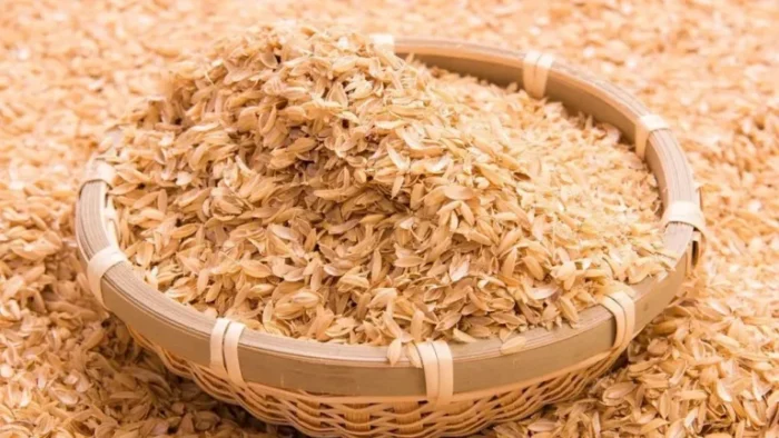 Kazajistán construirá planta que convierta cáscara de arroz en electricidad