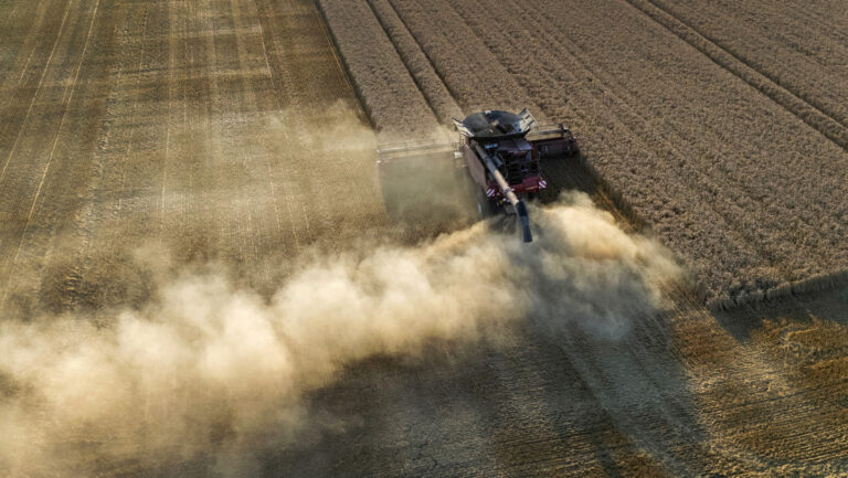 Pierden 9 millones de toneladas de cereal en Europa por la ola de calor