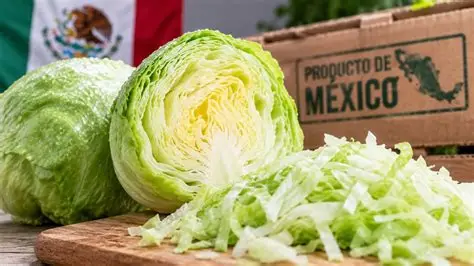 FDA califica de “falso positivo” la presencia de parásitos en lechugas mexicanas