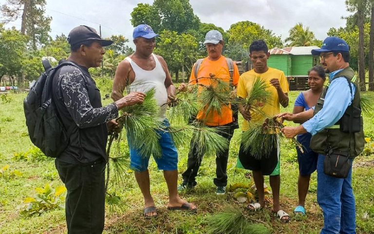 Capacitación en semillas forestales en Waspam