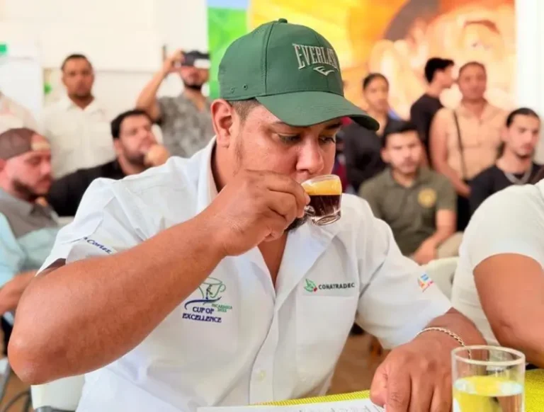 Estelí elige a sus mejores baristas