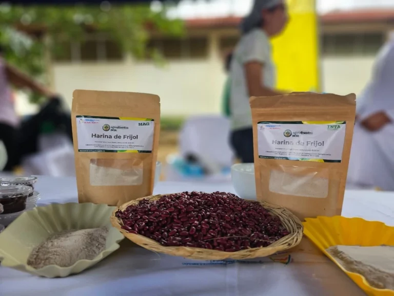MAG presenta nueva variedad de frijol Rojo Soberano a productores