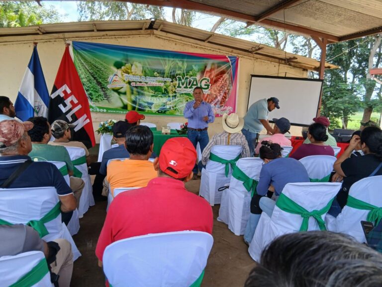 MAG presenta tecnologías para fortalecer la producción de frijol en zonas de sequía