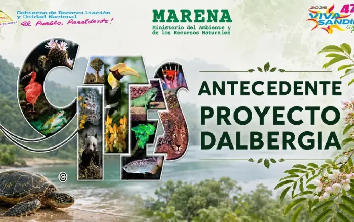 MARENA realiza reunión técnica sobre especies forestales