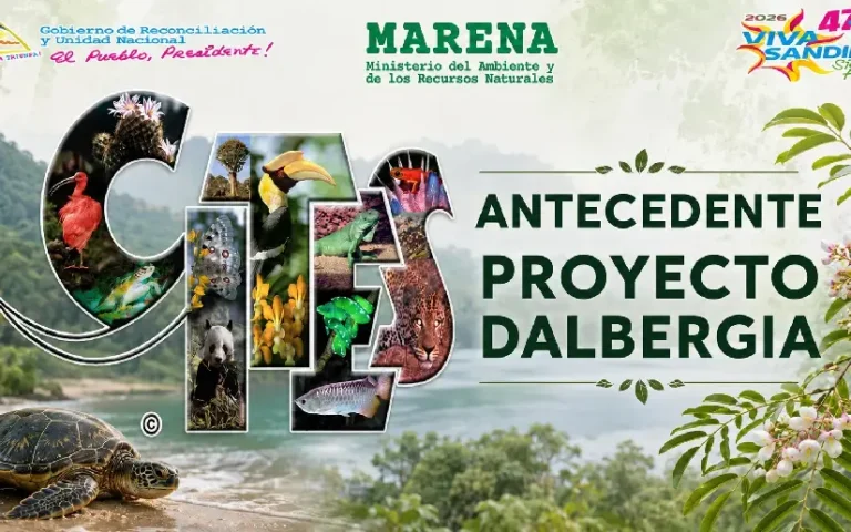 MARENA realiza reunión técnica sobre especies forestales