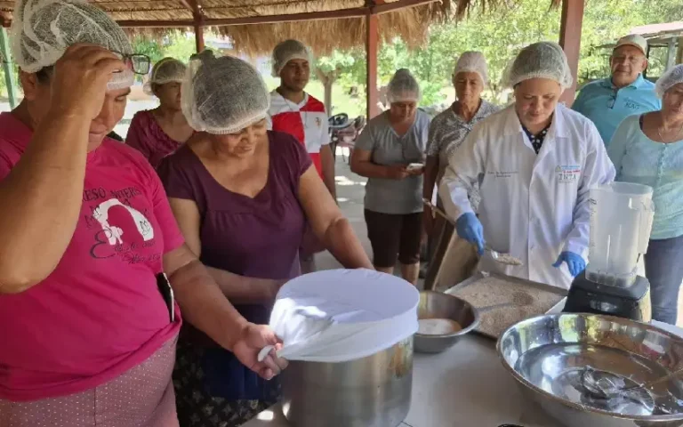 Capacitan a productores en elaboración de bebidas a base de ajonjolí