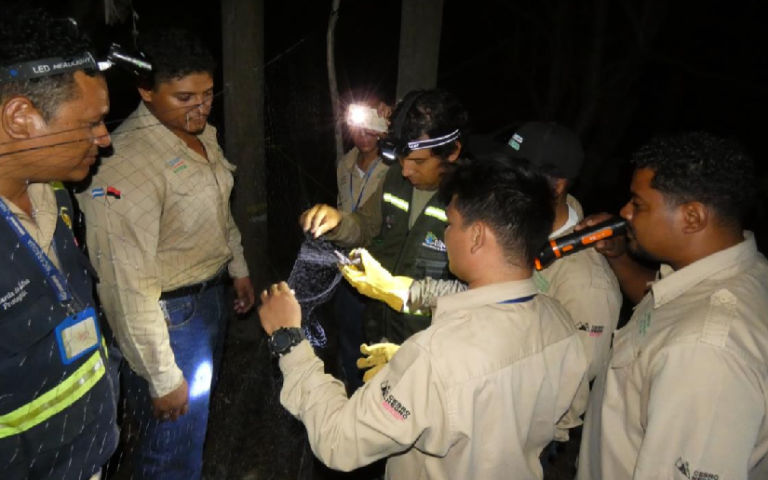 Realizan monitoreo de la biodiversidad en el Cerro Negro