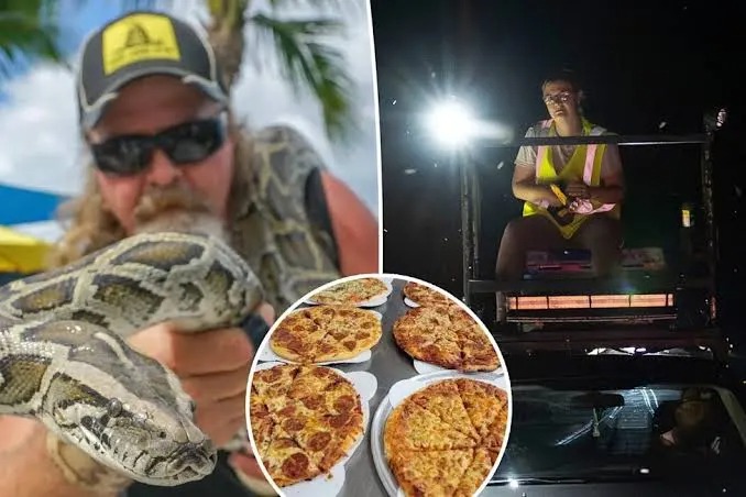 Ofrecen pizza gratis a cambio de pitones muertas