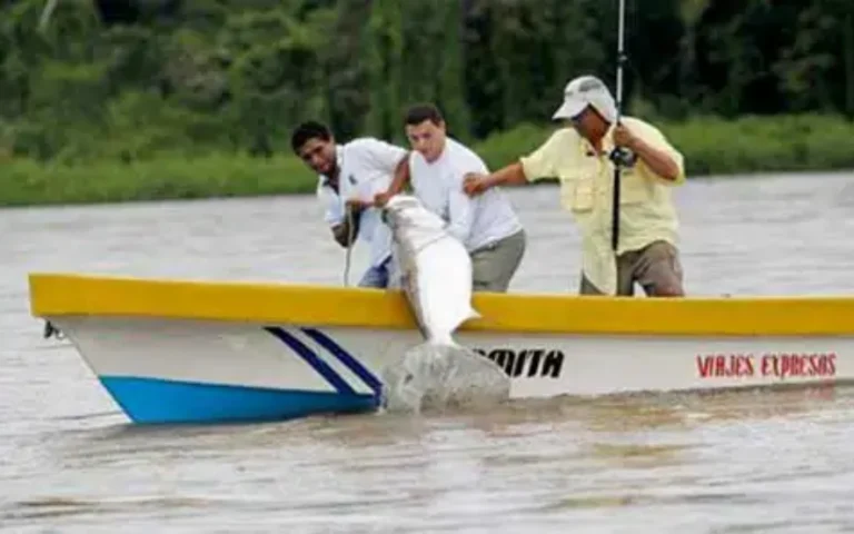 Programa 65 Edición Torneo Internacional Pesca Deportiva, San Carlos, Río San Juan