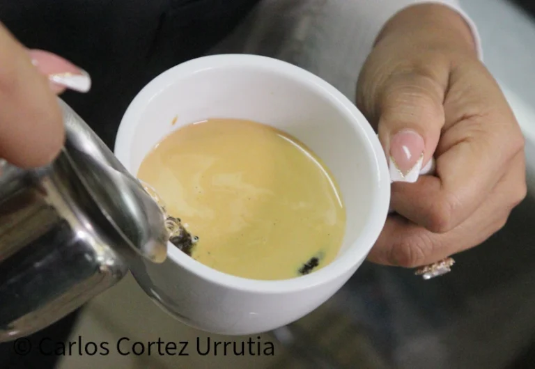 Celebran Concurso de Barismo Arte en Café en Managua