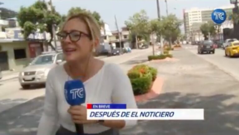 ¡Rata sorprende a reportera en vivo!