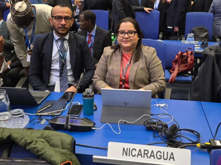 En Conferencia OIEA en Viena