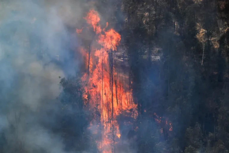 Ecuador mantiene siete incendios forestales activos en cuatro provincias