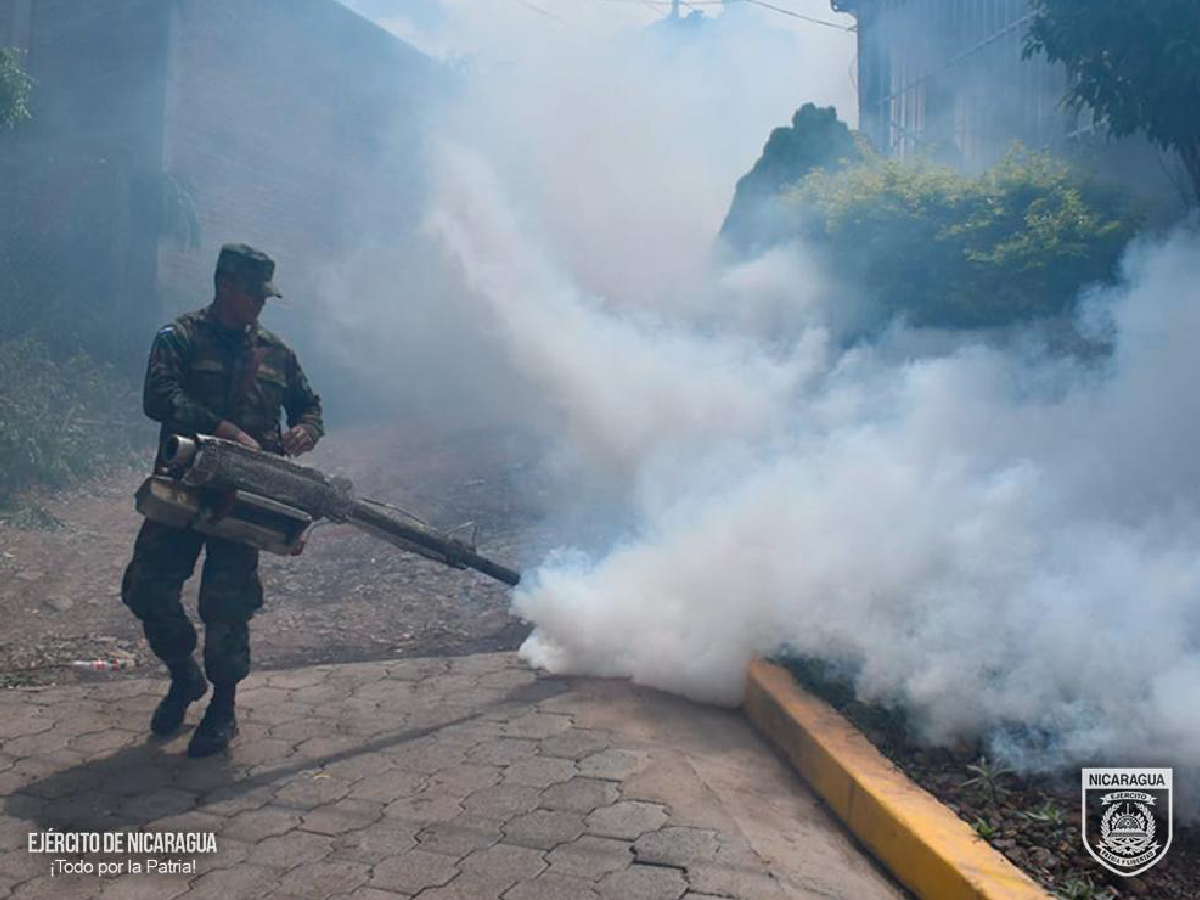 Participación en jornada de fumigación