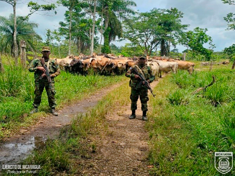 Ejército realiza diferentes servicios operativos 1
