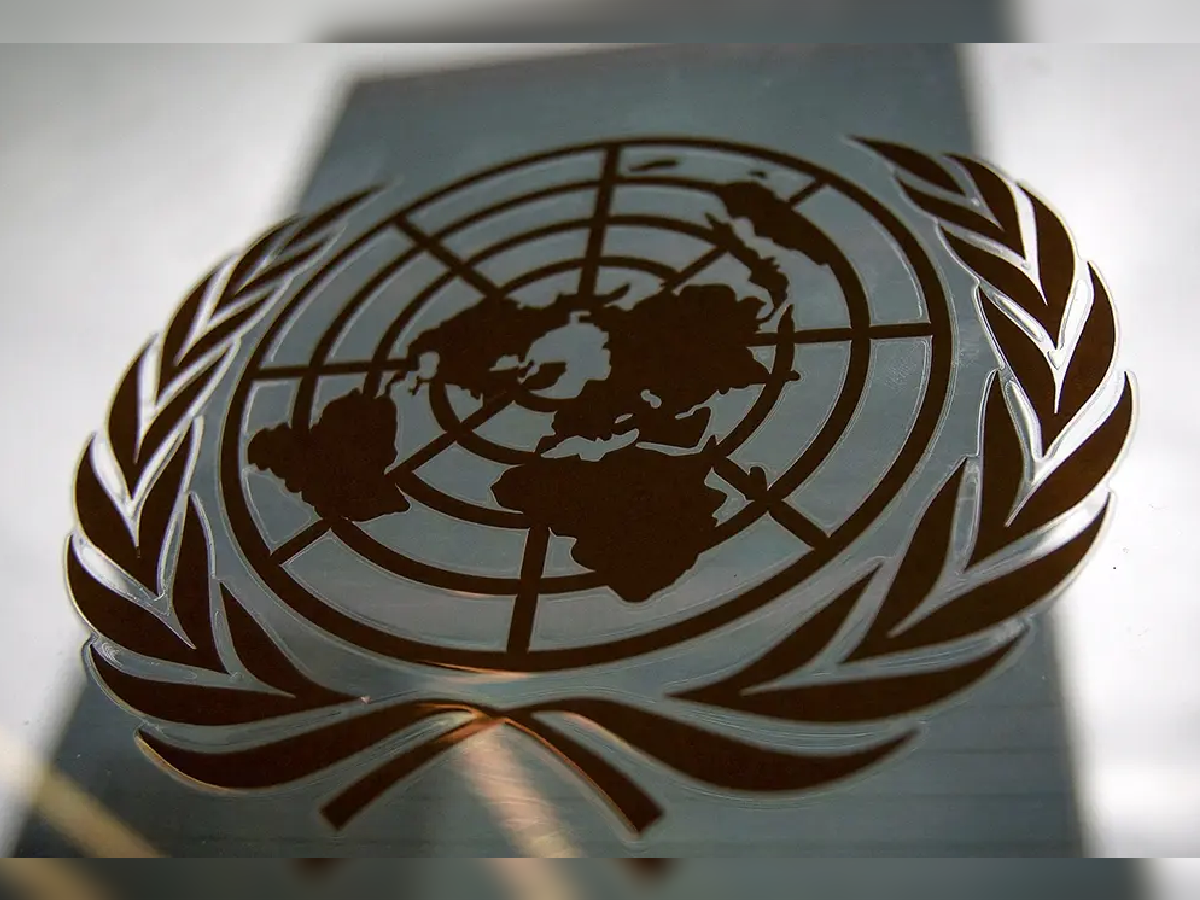 La ONU entre expectativas y realidad