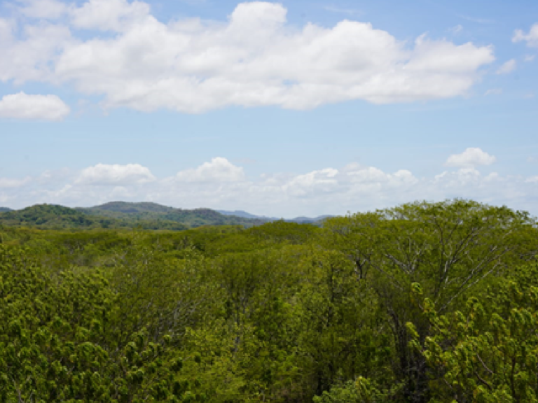 Reserva silvestre privada protege los recursos naturales