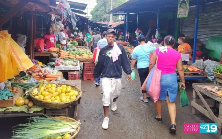 Productos de la canasta básica mantienen estable sus precios