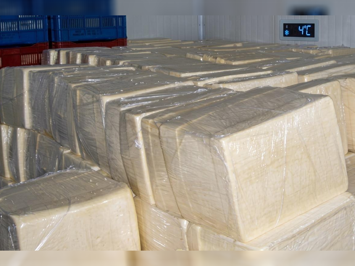 Nicaragua alcanza 149 millones de libras de queso y cuajada a julio de 2026