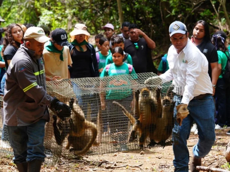 Zoológico Nacional libera fauna silvestre
