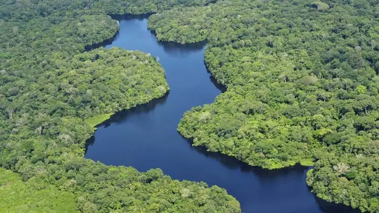 Amazonía brasileña registra la menor deforestación desde 1985