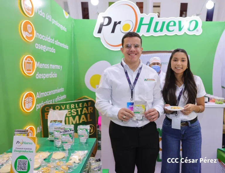 Empresas nicaragüenses diversifican su oferta y fortalecen las exportaciones
