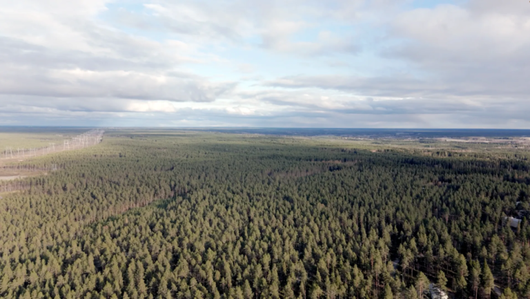 Google tala 400 mil árboles en Finlandia para construir centros de datos