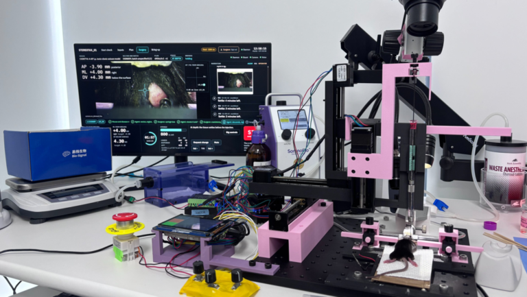 Inteligencia Artificial opera el cerebro de un rató