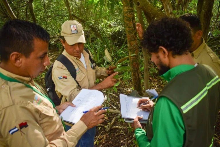 MARENA fortalece conocimientos sobre especies forestales en el Volcán Masaya