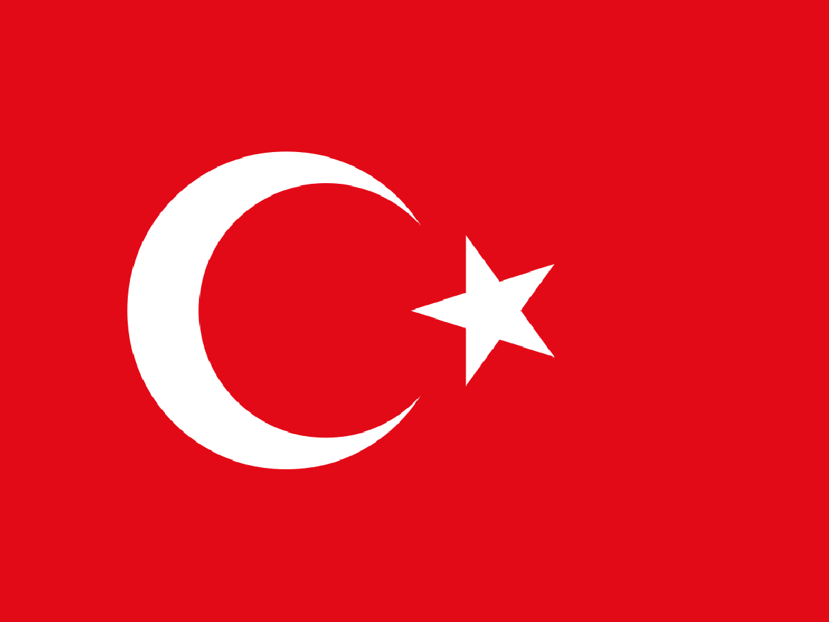 Nicaragua felicita a Türkiye por el 103 aniversario de la proclamación de la República