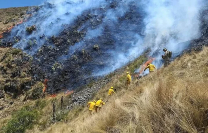 Perú enfrenta 51 incendios forestales activos