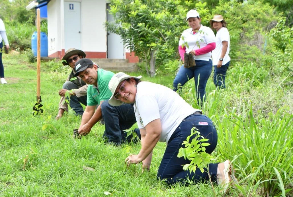 Reforestan Reserva Natural Península de Chiltepe con 1,000 plantas
