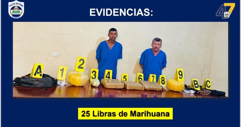 Incautan 25 libras de marihuana en El Rama