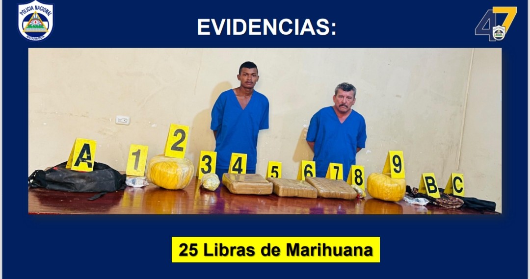 Incautan 25 libras de marihuana en El Rama