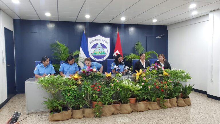 MINT garantiza 137 mil 776 servicios de manera ágil y oportuna 