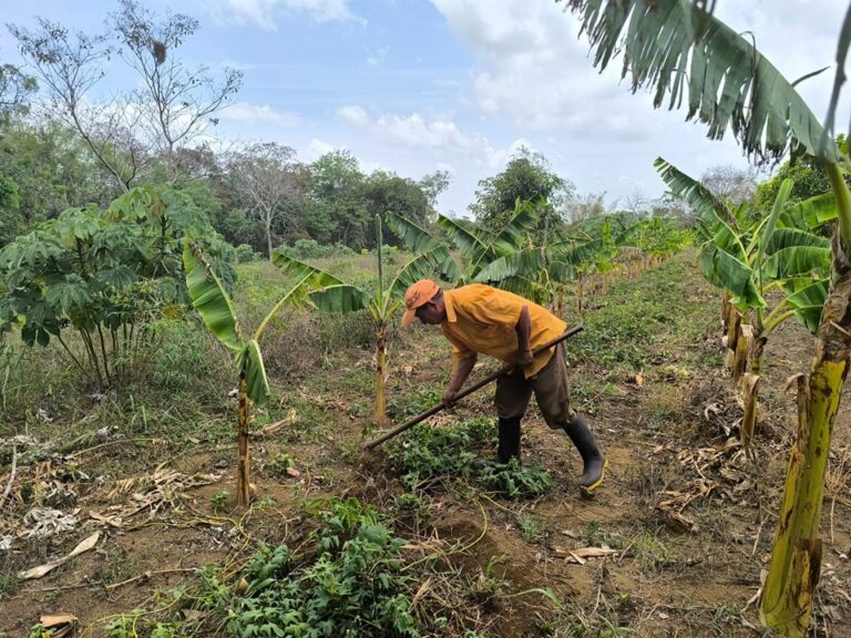 MEFCCA brinda acompañamiento a familias durante el ciclo productivo