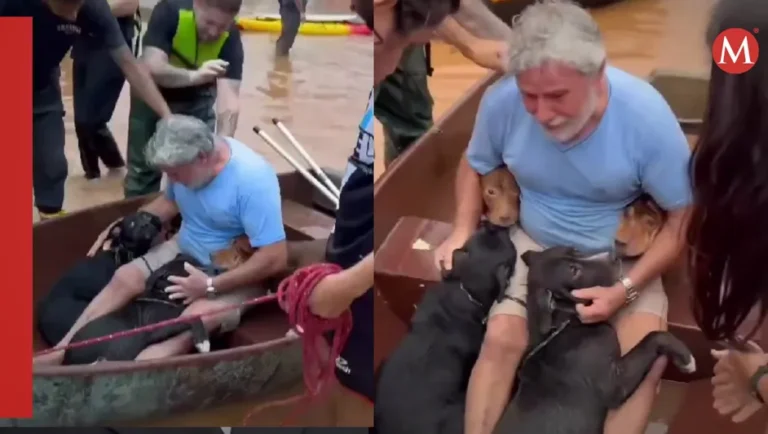 Hombre arriesga su vida por salvar a sus cuatro perritos