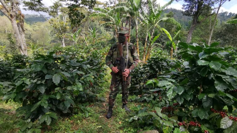Realizarán cierre del Plan de Protección a la Cosecha Cafetalera
