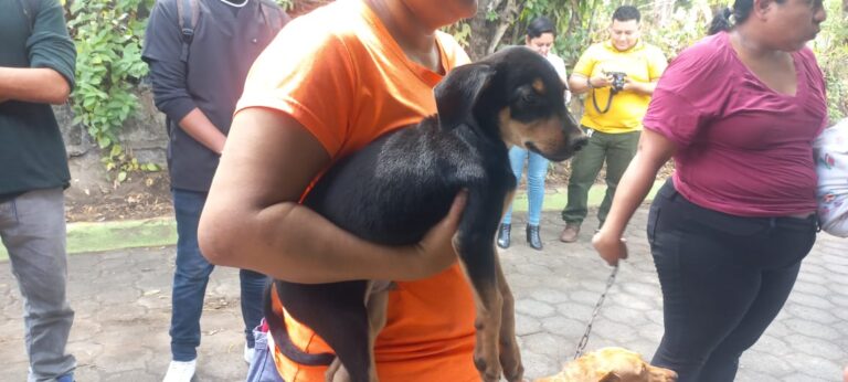 Estudiantes de carreras técnicas participan en Jornada Veterinaria
