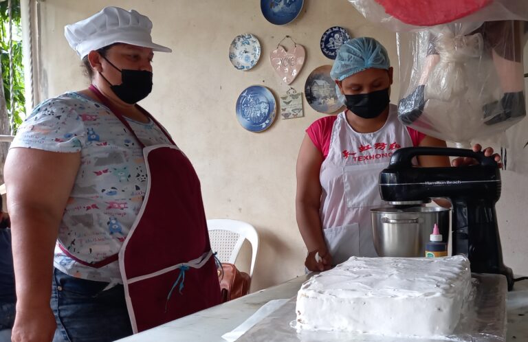 Electrificación llega a 358 habitantes de “La Golondrina”